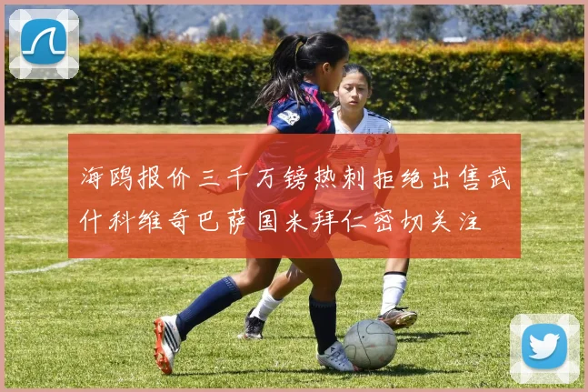 海鸥报价三千万镑热刺拒绝出售武什科维奇巴萨国米拜仁密切关注