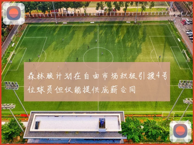 森林狼计划在自由市场积极引援4号位球员但仅能提供底薪合同