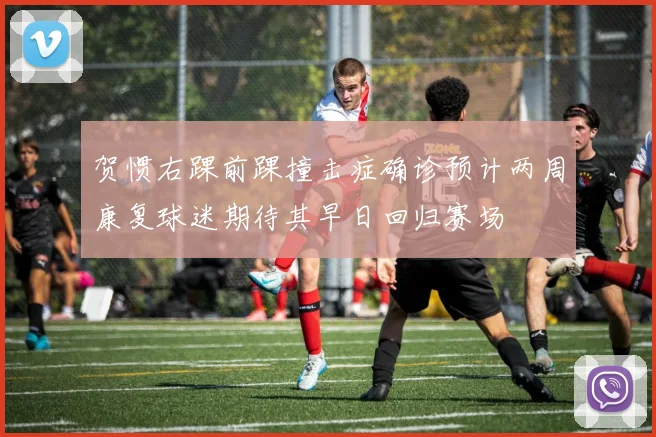 贺惯右踝前踝撞击症确诊预计两周康复球迷期待其早日回归赛场